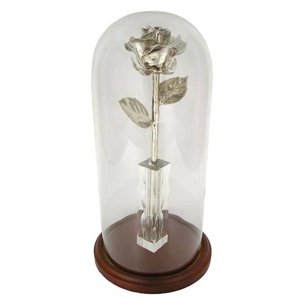 Enchanted 20th Anniversary 11 Platinum Rose