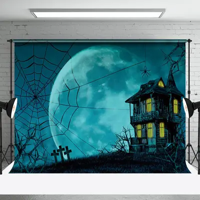 Aperturee Blue Moon Haunted House Spider Web Halloween Backdrop - Aperturee