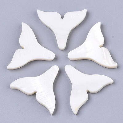 Natural Freshwater Shell Beads