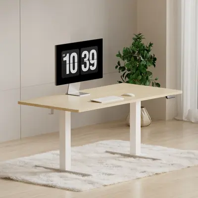 ErGear 55x27 Electric Standing Desk Height Adjustable Sit Stand Up with Memory Computer Home Office Features and Splice Board...