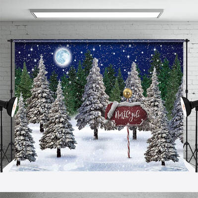 North Pole Night Forest Landscape Winter Backdrop - Aperturee