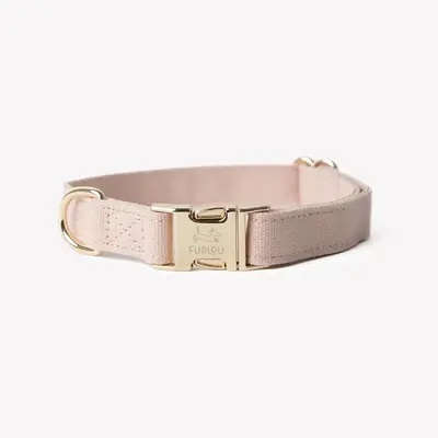 Canvas Dog Collar