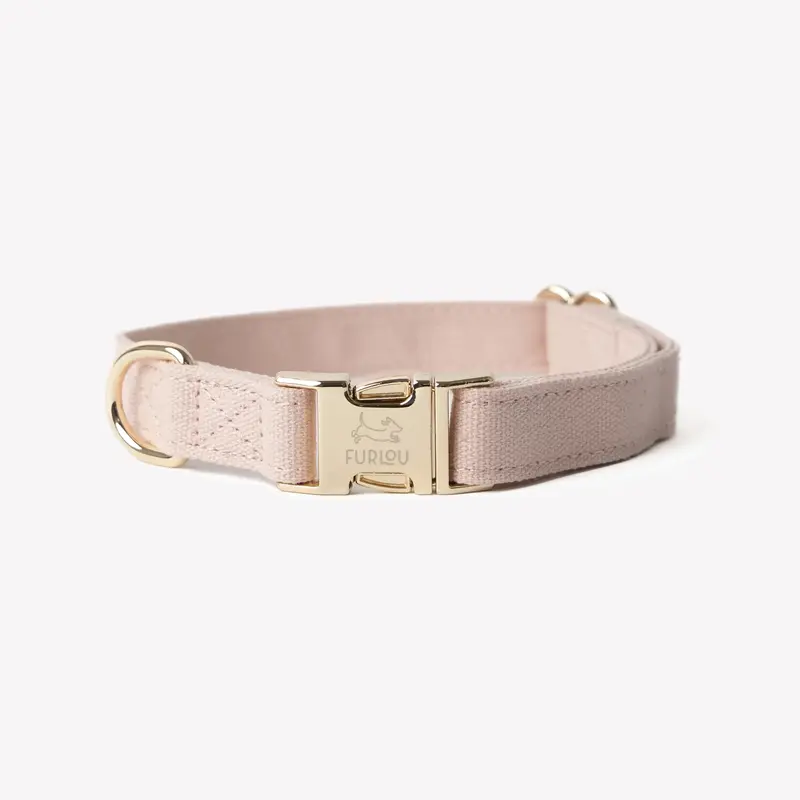 Canvas Dog Collar