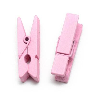Dyed Wooden Craft Pegs Clips