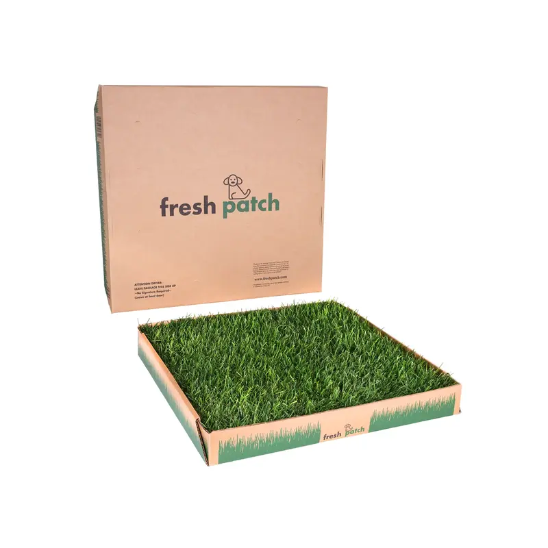 Fresh Patch Real Grass Large (24\
