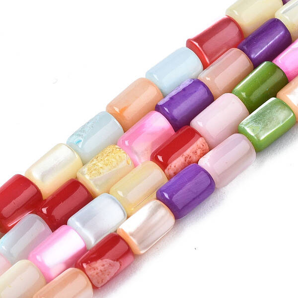Natural Trochid  Shell Beads Strands