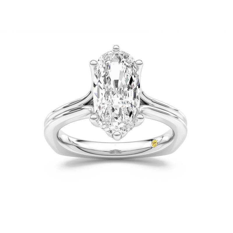 Fleur Elongated Cushion Cut Lab Grown Diamond Engagement Ring | 10K White Gold 1 1/2 CT. TW.