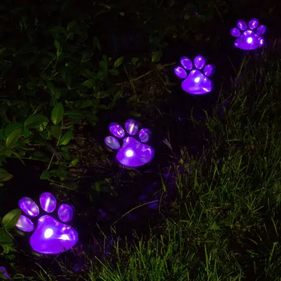 Paw Print Solar Ground Lights - Set of 4 - Multi-Color