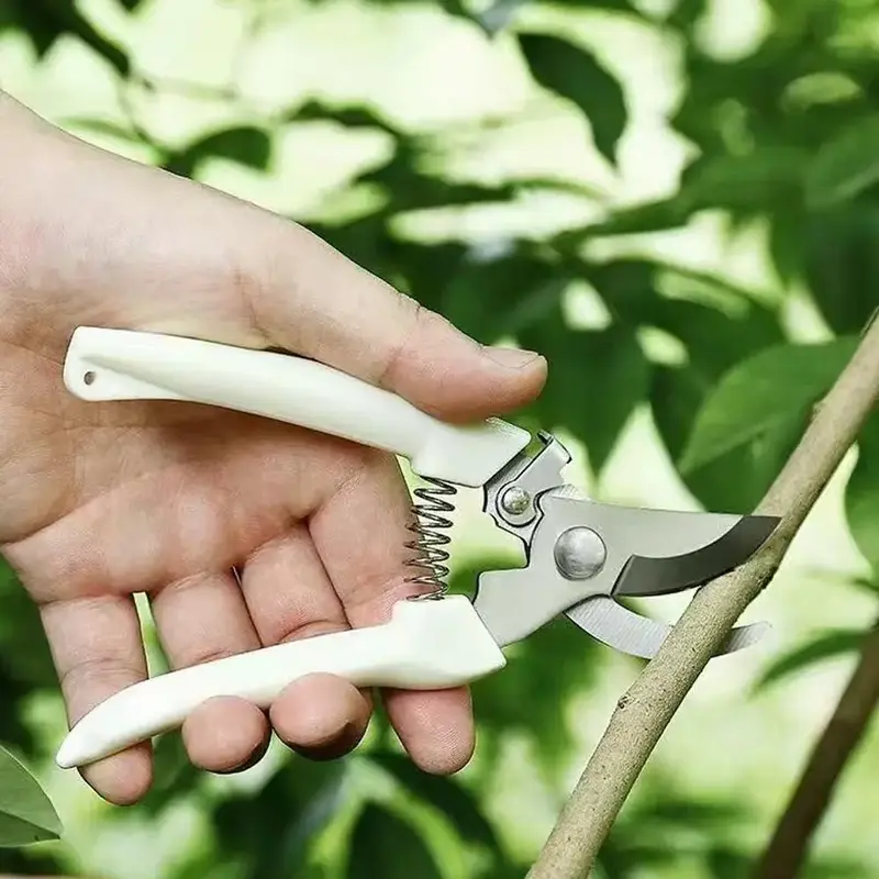 Garden Pruning Shear, Sharp Blades Pruning Tool for Cutting Flowers, Trimming Plants, Bonsai & Fruits Picking, Home Gardening...