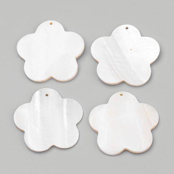 Freshwater Shell Pendants