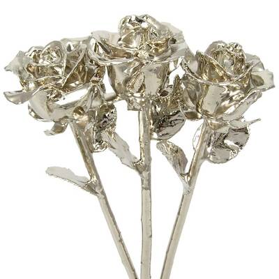 3 Past, Present, Future 17 Platinum Dipped Roses