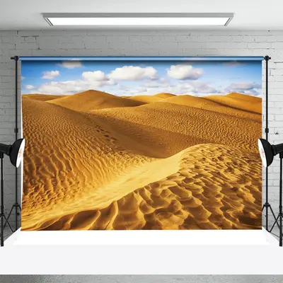 Sunny Clouds Endless Desert Backdrop For Photography - Aperturee