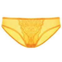 HSIA Enchante Floral Lace Sheer Mesh Back Mid-Rise Brief Matching Panty Underwear