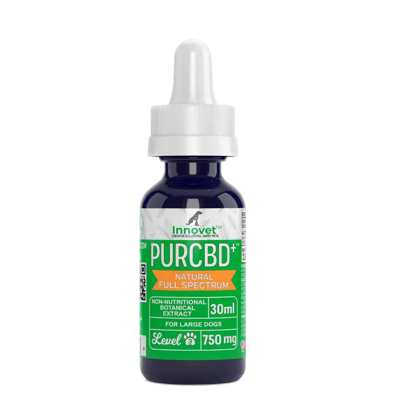 CBD Oil for Dogs