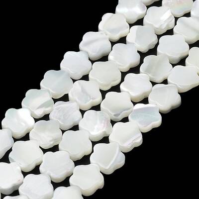 Natural Trochus Shell Beads Strands