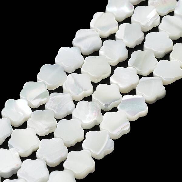 Natural Trochus Shell Beads Strands