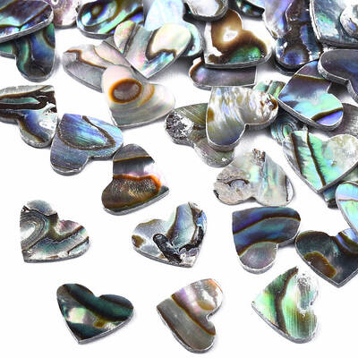 Natural Abalone Shell/Paua Shell Cabochons