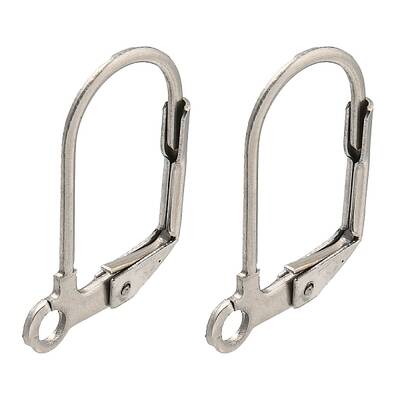 Non-Tarnish 304 Stainless Steel Leverback Earring Findings