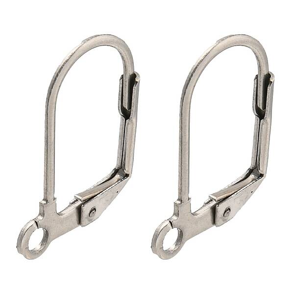 Non-Tarnish 304 Stainless Steel Leverback Earring Findings