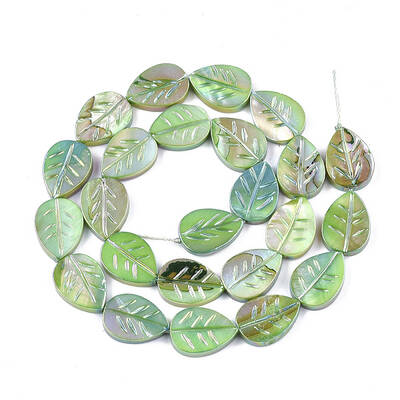 Freshwater Shell Beads Strands