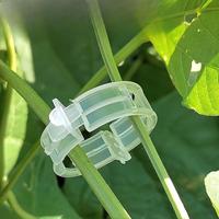 Garden Plant Fixing Clip, Plastic Flower and Melon Vine Fixing Clip, Binding Branch Clip, Plant Support Clip, Garden Supplies