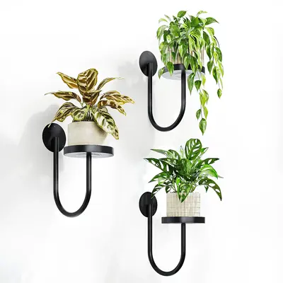 Bamworld 3pcs Wall Plant Holder Wall Planters for Indoor Plants Plant Hanger Indoor Wall Planter Window Plant Shelves Hanging...