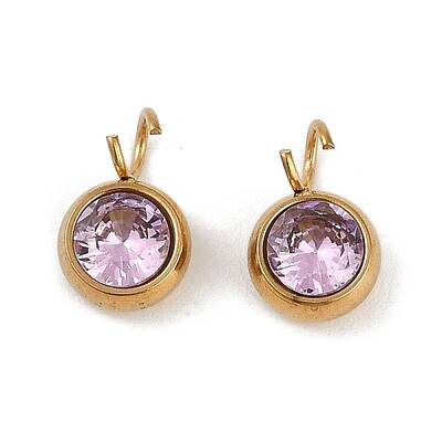 Ion Plating(IP) 304 Stainless Steel Micro Pave Cubic Zirconia Charms