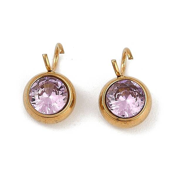 Ion Plating(IP) 304 Stainless Steel Micro Pave Cubic Zirconia Charms