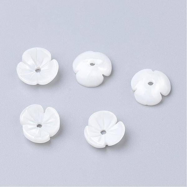 Natural Freshwater Shell Beads