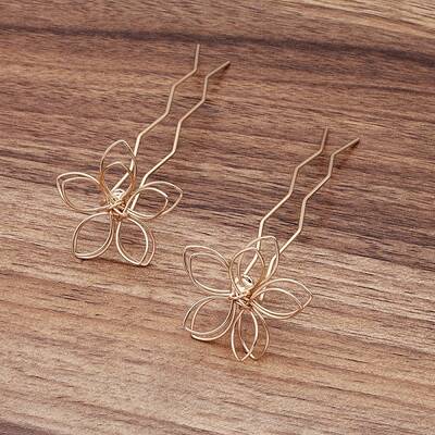 Iron Hair Fork Findings