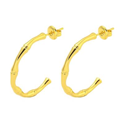 304 Stainless Steel Earrings