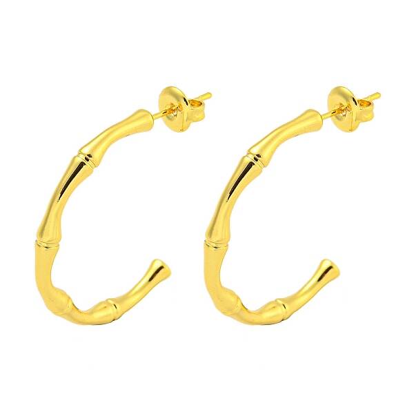 304 Stainless Steel Earrings