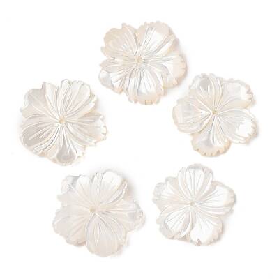 Natural White Shell Beads