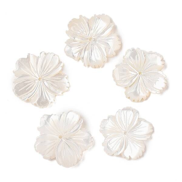 Natural White Shell Beads