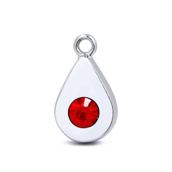 Platinum Plated Alloy Glass Rhinestone Charms