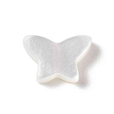 Natural White Shell Beads