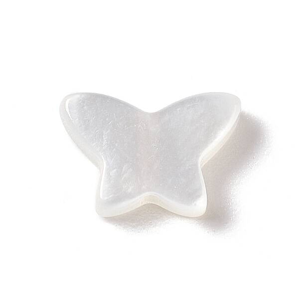 Natural White Shell Beads