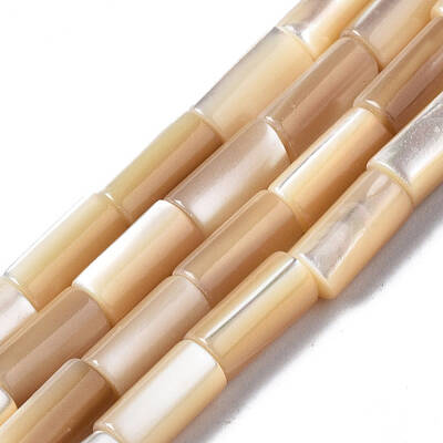 Natural Trochid Shell/Trochus Shell Beads Strands