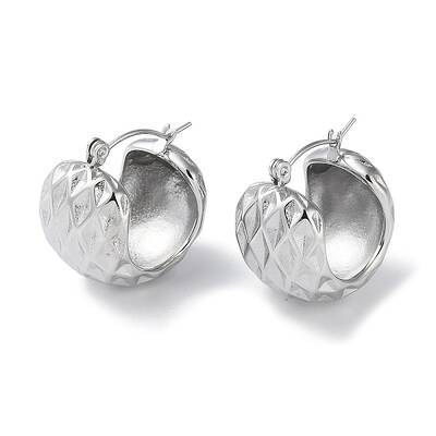 Non-Tarnish 304 Stainless Steel Thick Hoop Earrings