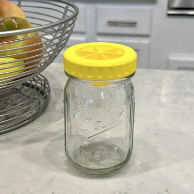 MASON JAR Fruit Fly Catcher Lid with Large Opening for Standard 2.75\