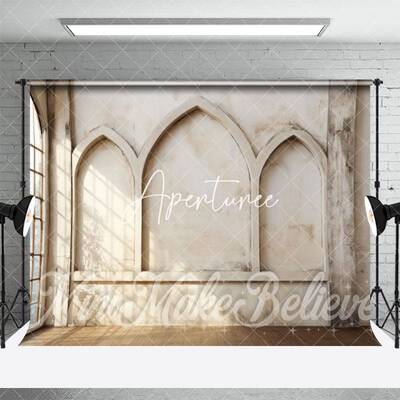 Sunshine Window Dirty Relief Wall Floor Backdrop - Aperturee