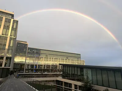 t-shirt Top Streetwear Rayon Women Underwear Comfortable