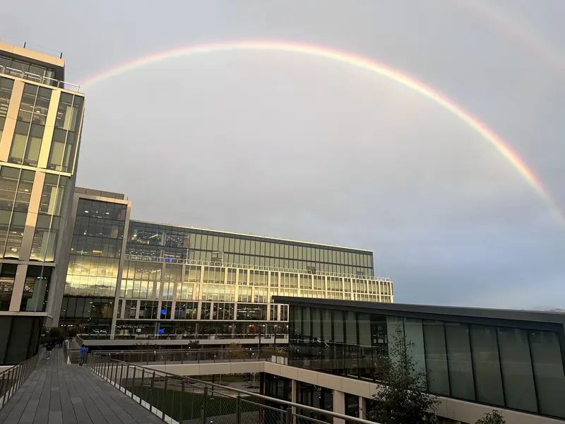 t-shirt Top Streetwear Rayon Women Underwear Comfortable