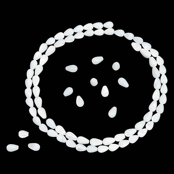 1 Strand Natural Trochus Shell Beads Strands