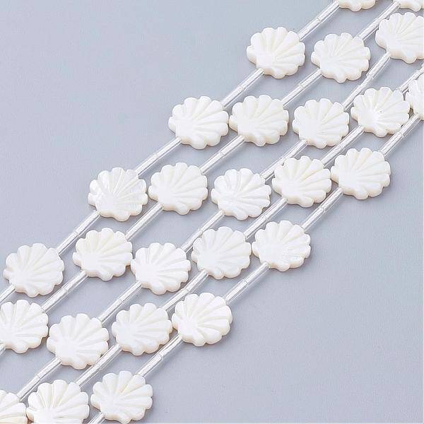 Natural White Shell Beads
