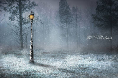 Aperturee Light Snow Forest Winter Wonderland Backdrop For Photography