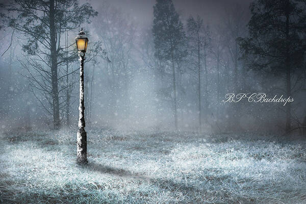 Aperturee Light Snow Forest Winter Wonderland Backdrop For Photography