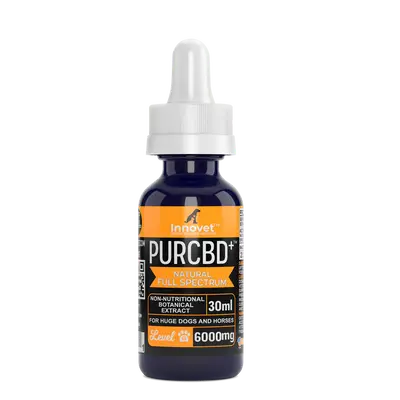 CBD Oil for Horses