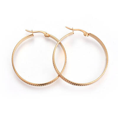 201 Stainless Steel Hoop Earrings