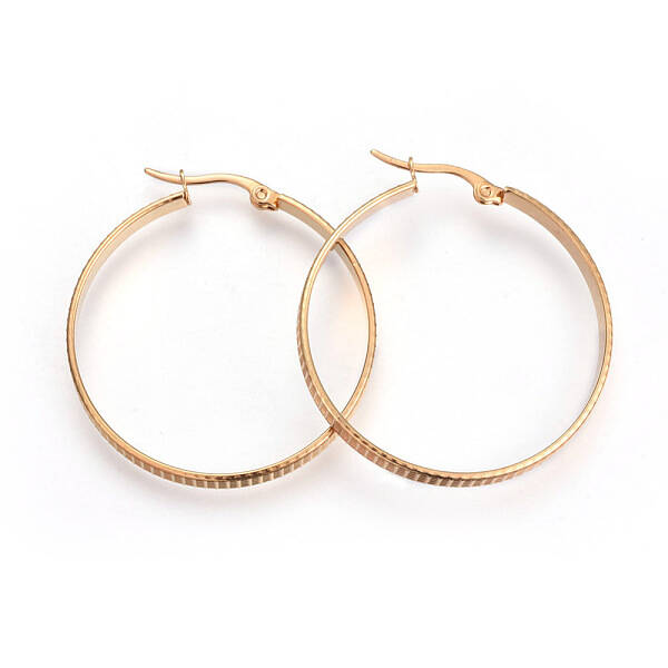 201 Stainless Steel Hoop Earrings